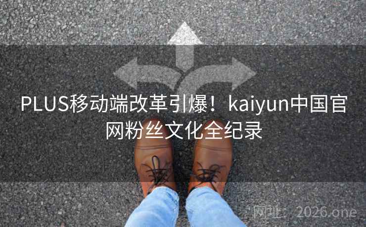 PLUS移动端改革引爆！kaiyun中国官网粉丝文化全纪录