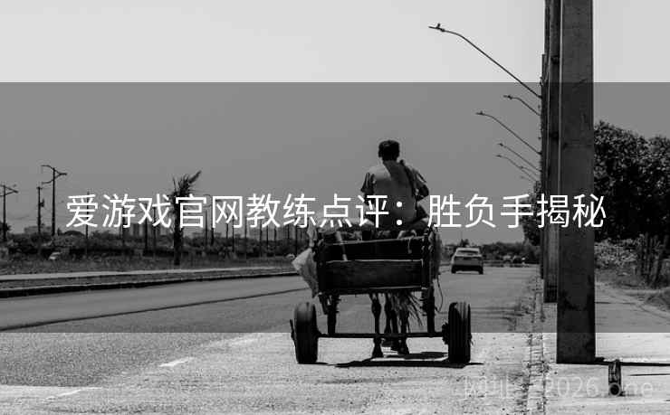 爱游戏官网教练点评:胜负手揭秘 第2张 爱游戏官网教练点评:胜负手揭秘 第2张