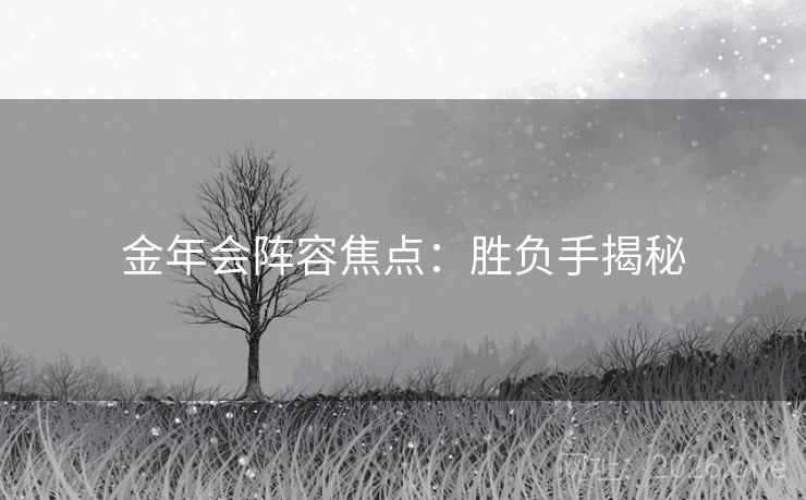 金年会阵容焦点：胜负手揭秘  第2张