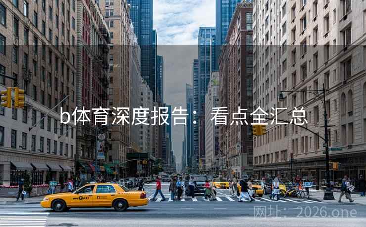 b体育深度报告：看点全汇总