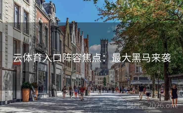 云体育入口阵容焦点：最大黑马来袭