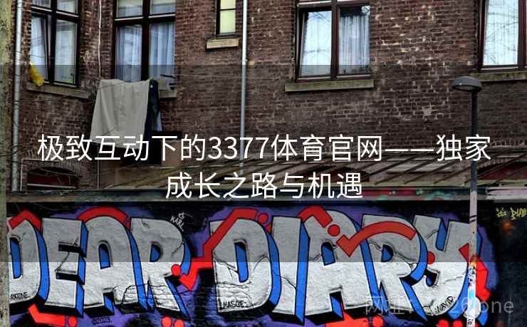 极致互动下的3377体育官网——独家成长之路与机遇