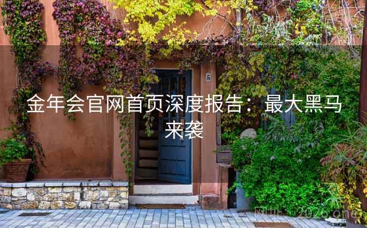 金年会官网首页深度报告：最大黑马来袭