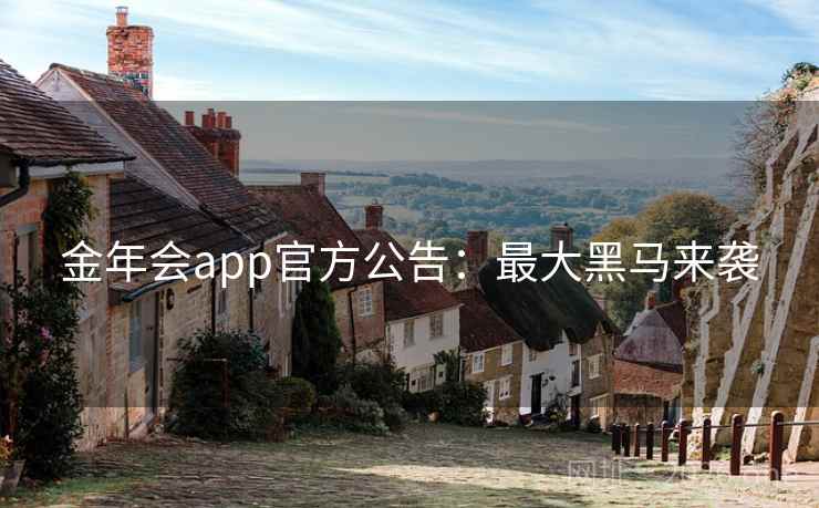 金年会app官方公告：最大黑马来袭