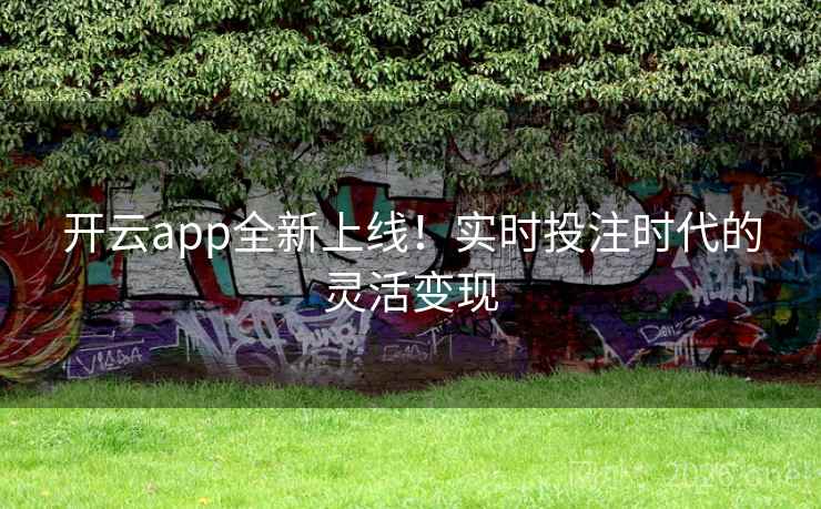 开云app全新上线!实时投注时代的灵活变现 第2张 开云app全新上线!实时投注时代的灵活变现 第2张