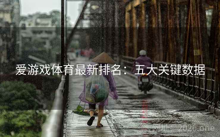 爱游戏体育最新排名：五大关键数据